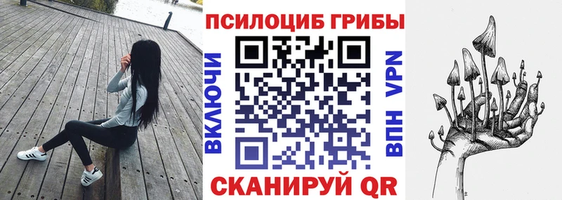 блэк спрут   Нестеров  Галлюциногенные грибы прущие грибы 